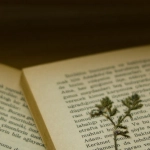 Старинные книги и рукописи переводчика на письменном столе