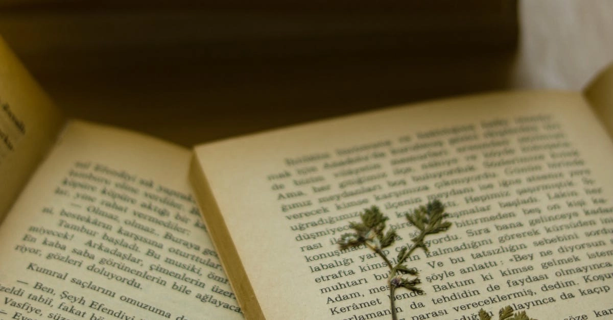 Старинные книги и рукописи переводчика на письменном столе