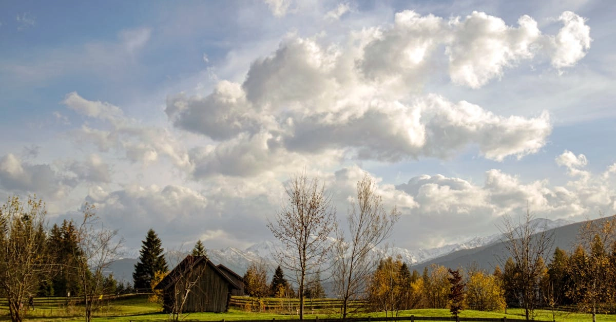 Слот Bigger Barn House Bonanza с символами фермы